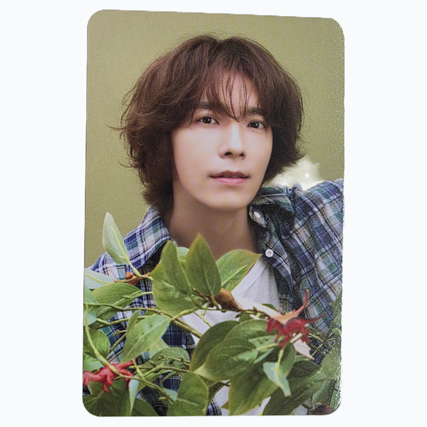 SUPER JUNIOR Donghae Photocard 1 - Seasons Greetings 2024