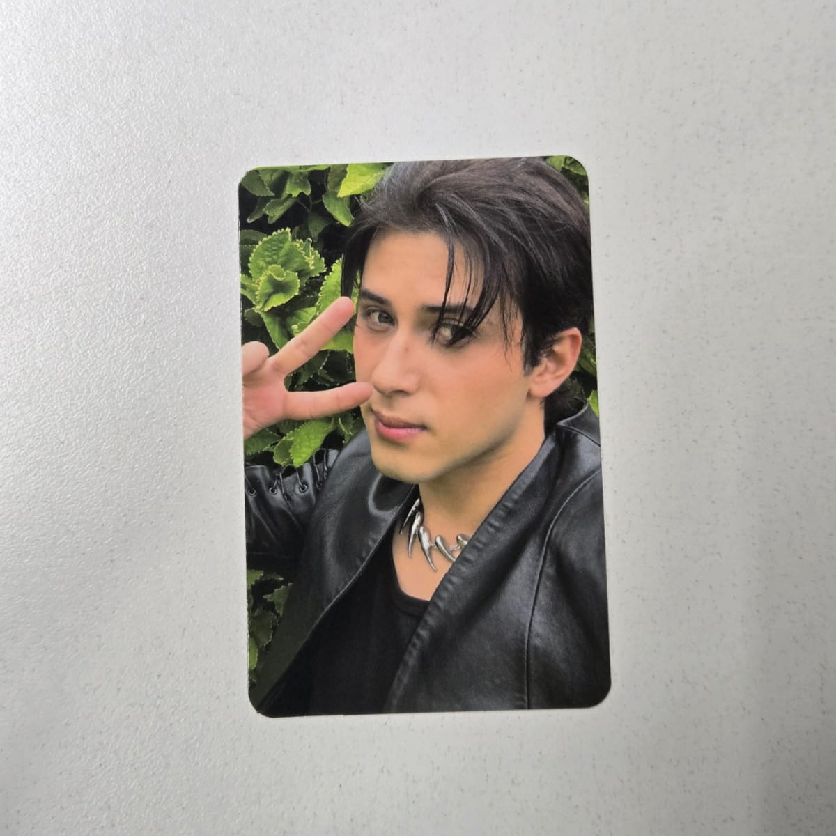 Santos Bravos Alejandro Photocard (POB de Kpop Nara)