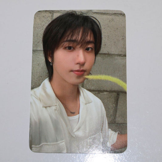 STRAY KIDS Han Photocard - This & That (Concert POB SOUNDWAVE Week 1 - & Ver.)