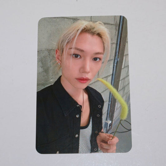 STRAY KIDS Felix Photocard - This & That (Concert POB SOUNDWAVE Week 1 - & Ver.)