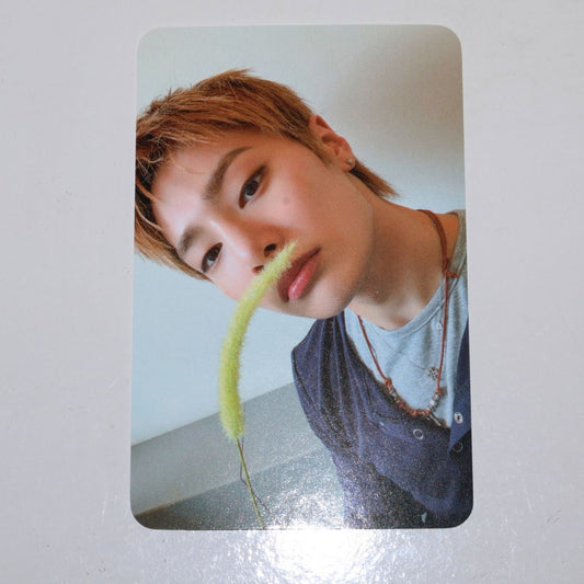 STRAY KIDS I.N Photocard - This & That (Concert POB SOUNDWAVE Week 1 - & Ver.)