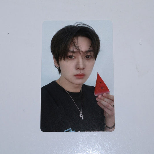 STRAY KIDS Lee Know Photocard - This & That (Fans Shop)