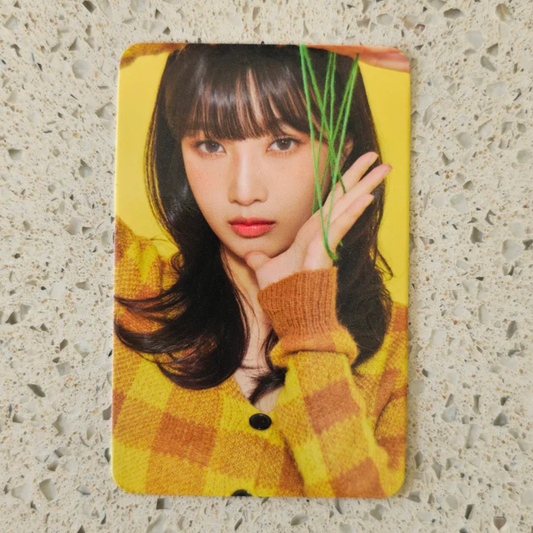 Red Velvet Joy Photocard - Seasons Greetings 2023