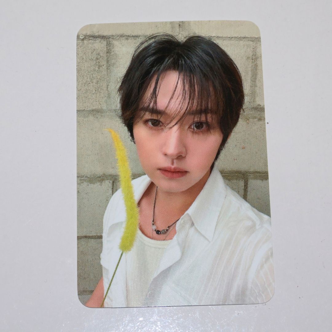 STRAY KIDS Lee Know Photocard - This & That (Concert POB SOUNDWAVE Week 1 - & Ver.)