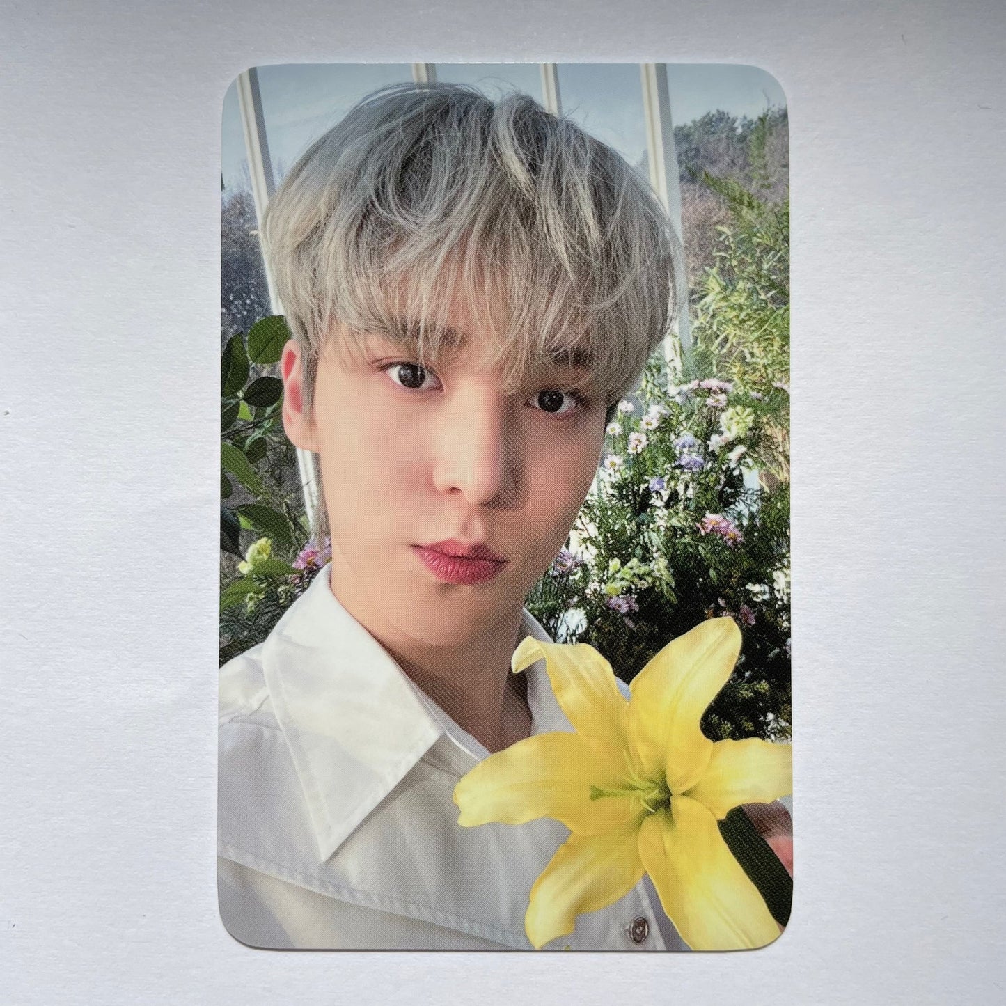 ATEEZ Yunho Photocard - NACIFIC (Flowering Day Cap 1)