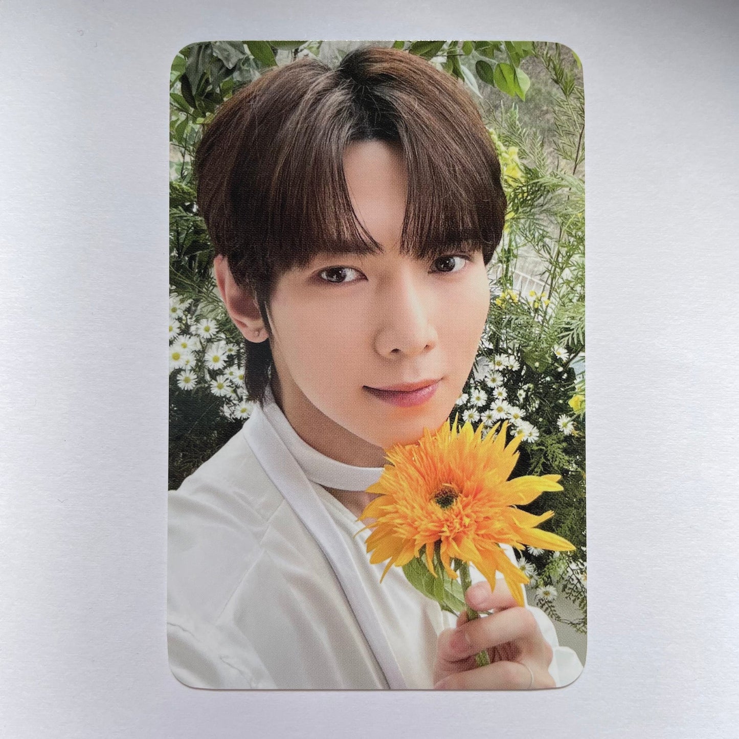 ATEEZ Yeosang Photocard - NACIFIC (Flowering Day Cap 1)