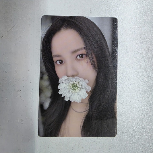 MAMAMOO Solar Photocard 1 - Colours (MusicKorea POB)
