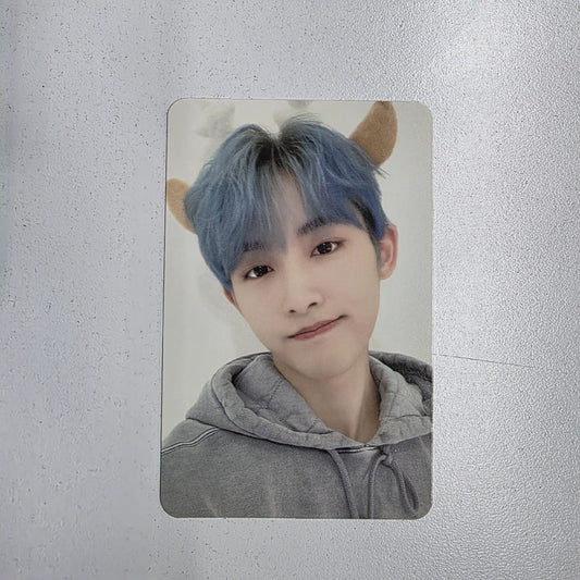 WayV Winwin Photocard - Pink Christmas Collection 2023
